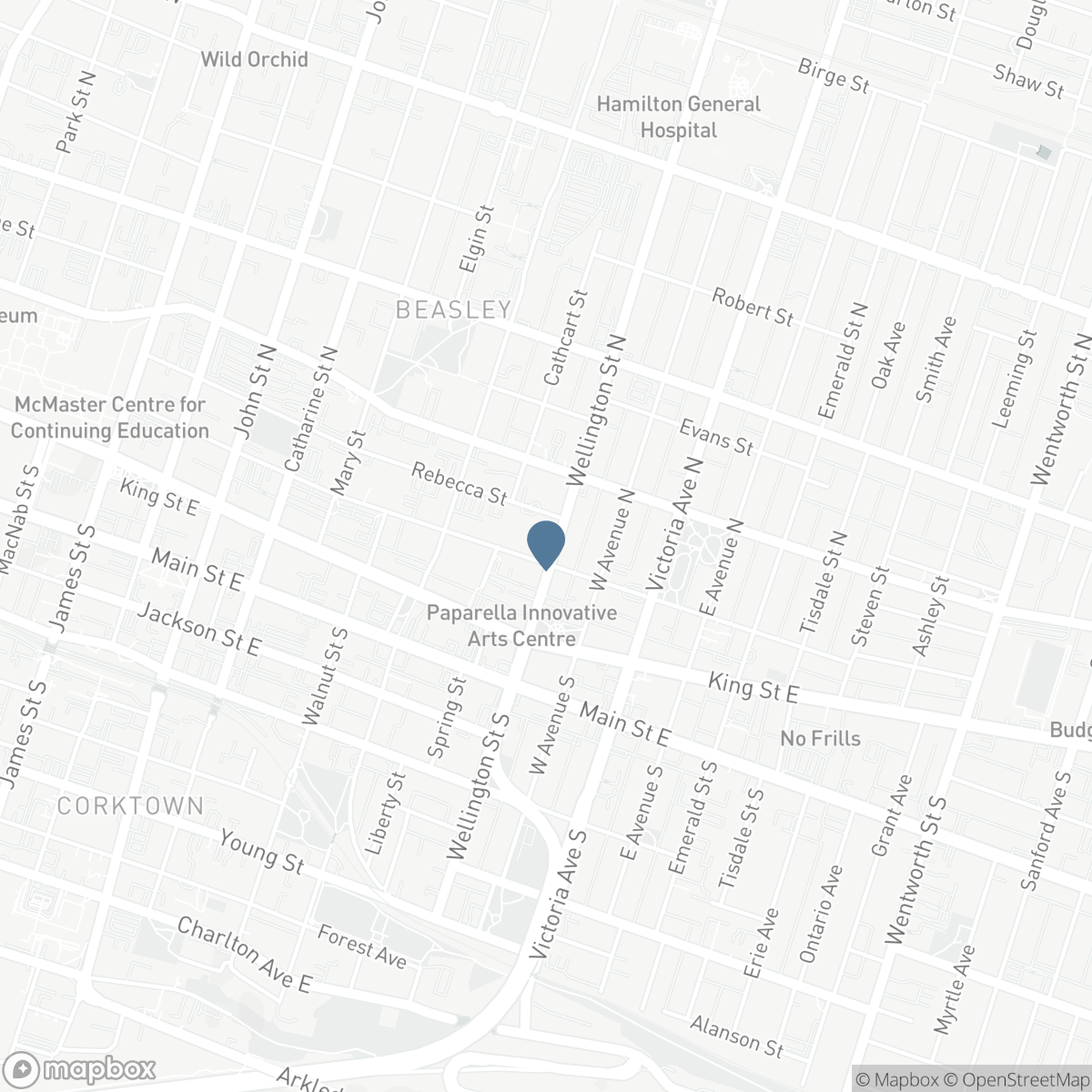 51 WELLINGTON STREET N, Hamilton, Ontario L8R 1M9